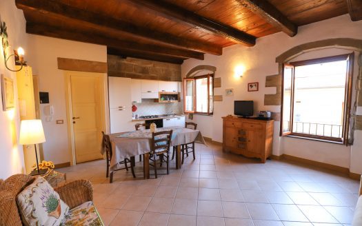 Charming apartment in the medieval village!