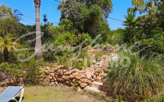 Large Finca with AFO, 14,925 m2 plot, 300 m2 built separated into three independent units